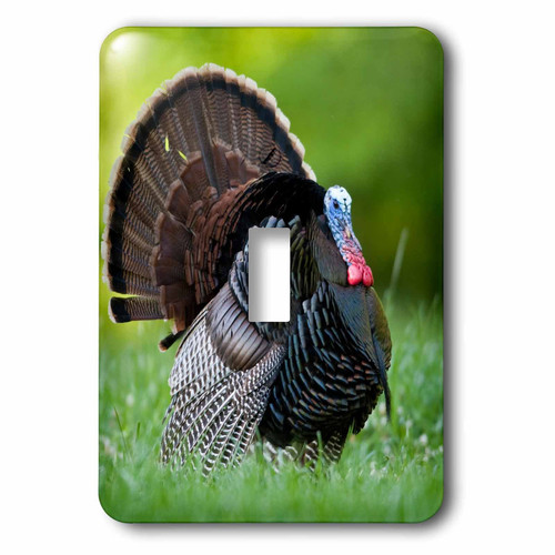 3D Rose lsp_209807_1 Wild Turkey Gobbler. -Single Toggle Switch