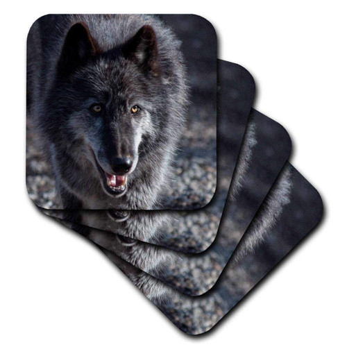 3dRose Black Rocky Mountain Grey Wolf Set of 4 Ceramic Tile Coasters
