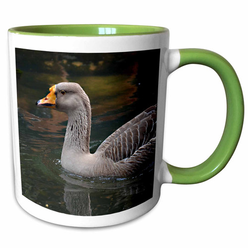 3dRose Susans Zoo Crew Animals - grey goose swimming across bird - Mugs (mug_178462_7)