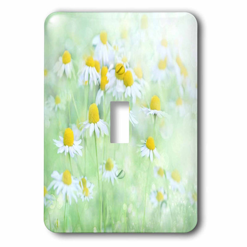 3dRose lsp_280004_1 Image of Close Up of Daisies in The Meadow Toggle Switch, Multicolor