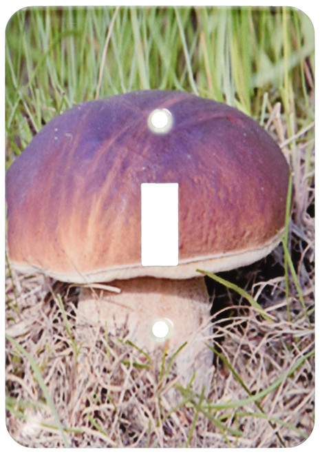 3dRose lsp_3659_1 " Mushroom Single Toggle Switch