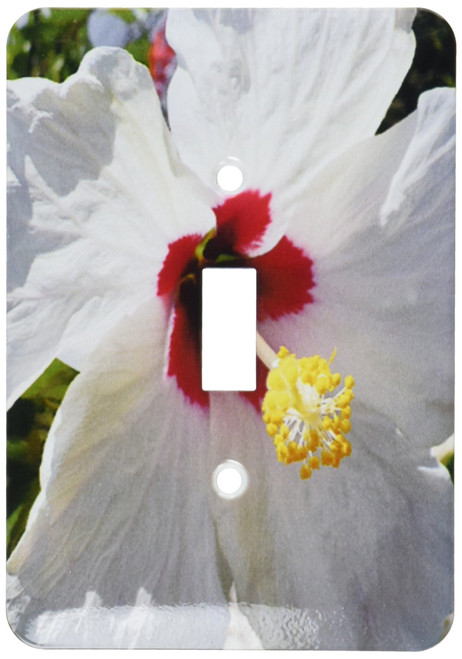 3dRose LLC lsp_8593_1 Big White Hibiscus, Single Toggle Switch