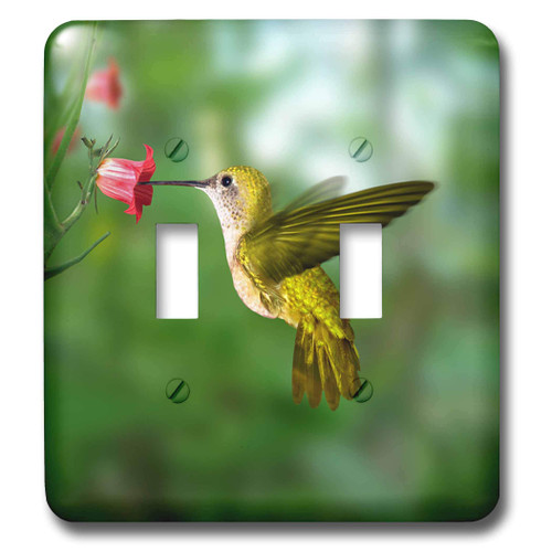 3dRose lsp_4143_2 " Hummingbird Double Toggle Switch