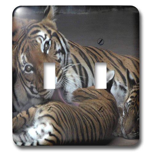 3dRose LLC lsp_12309_2 Mother Tiger with Her Babies Double Toggle Switch