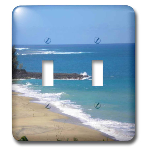 3dRose lsp_23539_2 Hawaii Coastline Double Toggle Switch