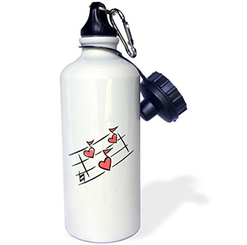 3dRose wb_175818_1 pink hearts music notes Sports Water Bottle, Multicolored, 21 oz