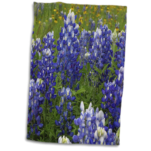 3dRose - Danita Delimont - Flowers - Texas Hill Country Wildflowers. Bluebonnets - Towels (twl-332114-1)