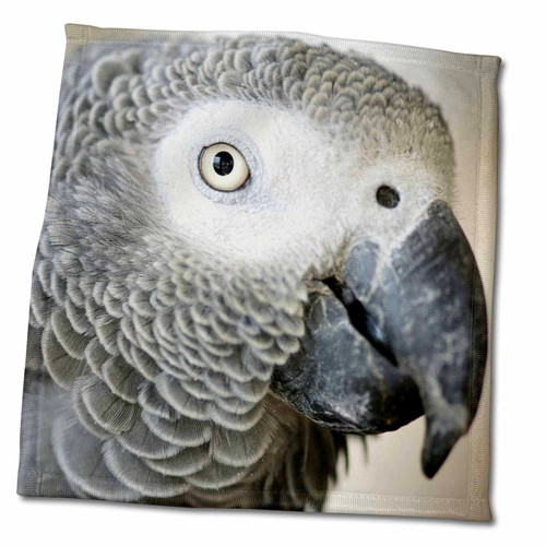 3dRose - Danita Delimont - Tropical Birds - African Grey Parrot Tropical Bird - NA02 MFR0001 - MFR - Towels (twl-140254-3) 3dRose - Danita Delimont - Tropical Birds - African Grey Parrot Tropical Bird - NA02 MFR0001 - MFR - Towels (twl-140254-3)