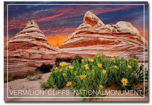 White Pocket, Vermilion Cliffs National Monument Travel Refrigerator Magnet Size 2.5" x 3.5" White Pocket, Vermilion Cliffs National Monument Travel Refrigerator Magnet Size 2.5" x 3.5"