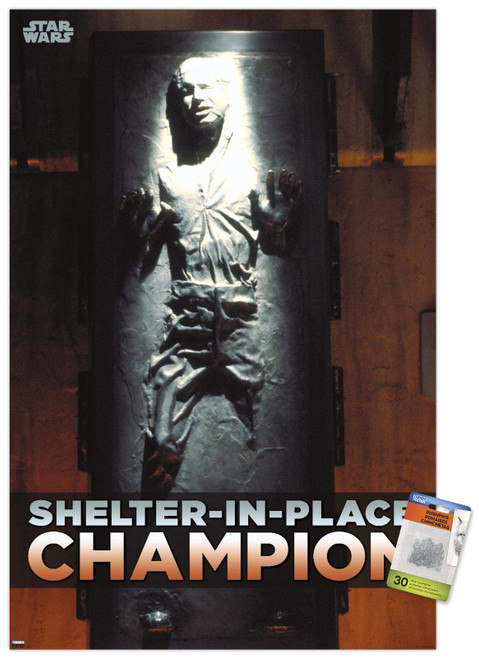 Star Wars: Saga - Han Solo - Shelter In Place Wall Poster with Push Pins