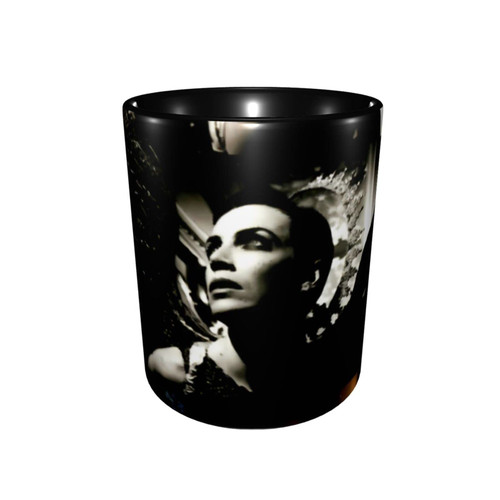 PLIGG Annie Lennox Collage Funny Coffee Mug Novelty Travel Mug Holiday Gift For Mens And Womens