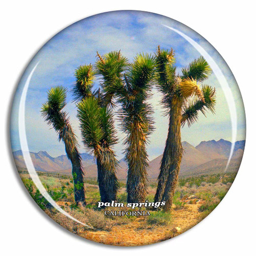 Palm Springs California USA Fridge Magnet Travel Gift Souvenir Collection 3D Crystal Glass Palm Springs California USA Fridge Magnet Travel Gift Souvenir Collection 3D Crystal Glass