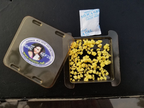 Microbiota, Inc. Fresh Dry Milk Kefir Grains