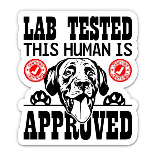 Lab Tested This Human is Approved Sticker - 5" Laptop Sticker - Waterproof Vinyl for Car, Phone, Water Bottle - Funny Labrador Dog Decal