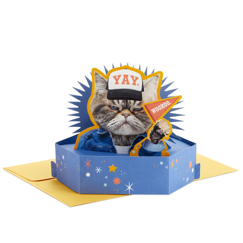 Hallmark Paper Wonder Shoebox Funny Pop Up Birthday Card, Congratulations Card, or Fathers Day Card (Grouchy Cat) Hallmark Paper Wonder Shoebox Funny Pop Up Birthday Card, Congratulations Card, or Fathers Day Card (Grouchy Cat)