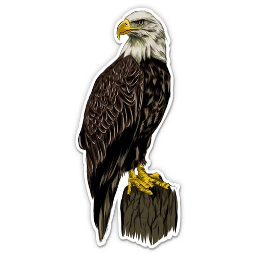 Bald Eagle - 3" Vinyl Sticker - for Car Laptop Water Bottle Phone - Waterproof Decal