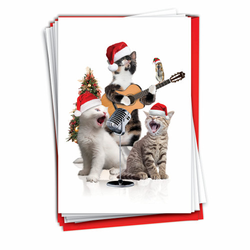 The Best Card Company Holiday Animal Bands-Cats - 12 Boxed Merry Christmas Greeting Cards with Envelopes (4.63 x 6.75 Inch) - C9541GXSG-B12x1
