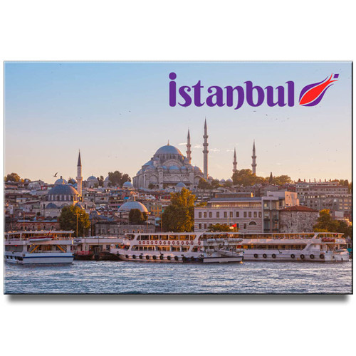 Istanbul Fridge Magnet Turkey Travel Souvenir Sultan Ahmed Mosque Bosphorus