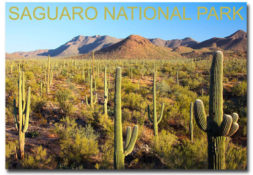 REFRIGERATOR MAGNET Saguaro National Park Travel Refrigerator Magnet Size 2.5 x 3.5, Multicolor