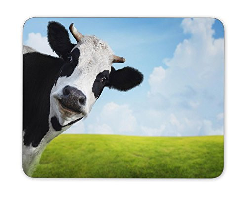 Funny cow on a green summer meadow Mouse Pad mouse mouse pad Mouse Pad Pad Office Mouse Pad Gaming Mouse Pad Mat Mouse Pad mousepad Dimension: 9.5" x 7.9"