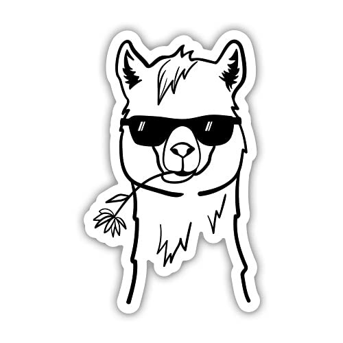 GT Graphics Express Llama Cool Funny - 3 inch Vinyl Sticker - for Car Laptop Water Bottle Phone - Waterproof Decal