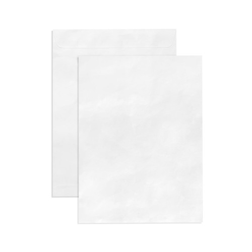 100 9x12 Tyvek Envelopes, Self Seal 9 x 12 Catalog Mailer, Ultra Strong 14lb Tear Resistant Material, Designed for Secure Mailing, Strong Peel and Seal Flap, 100 Envelopes