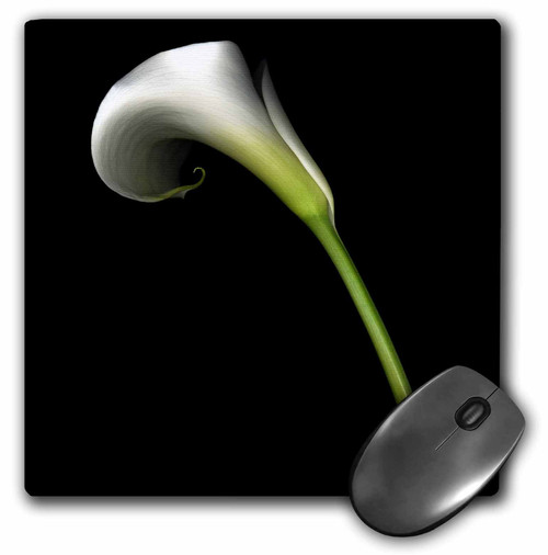 3dRose LLC 8 x 8 x 0.25 Inches Mouse Pad, White Calla Lily (mp_4272_1)