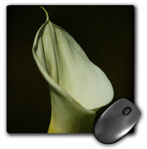 3dRose LLC 8 x 8 x 0.25 Inches Elegant Silky White Flower Pattern Mouse Pad (mp_50145_1)