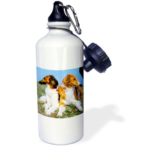 3dRose Bloodhound Sports Water Bottle, 21 oz, White 3dRose Bloodhound Sports Water Bottle, 21 oz, White