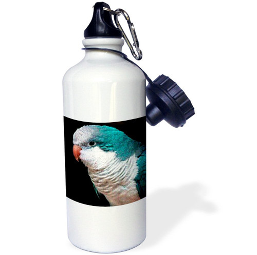 3dRose Westie Sports Water Bottle, 21 oz, White