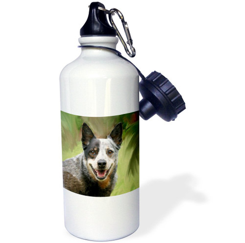 3dRose Steam Train Sports Water Bottle, 21 oz, White