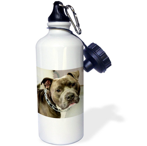 3dRose Pit Bull With Chain Collar Sports Water Bottle, 21 oz, Multicolor 3dRose Pit Bull With Chain Collar Sports Water Bottle, 21 oz, Multicolor