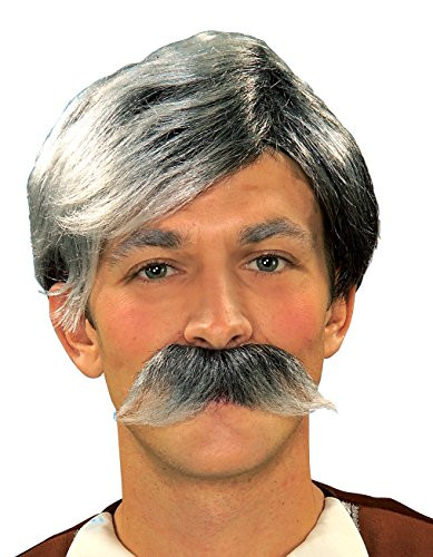 Forum Novelties Gepetto Wig and Moustache Kit, Grey