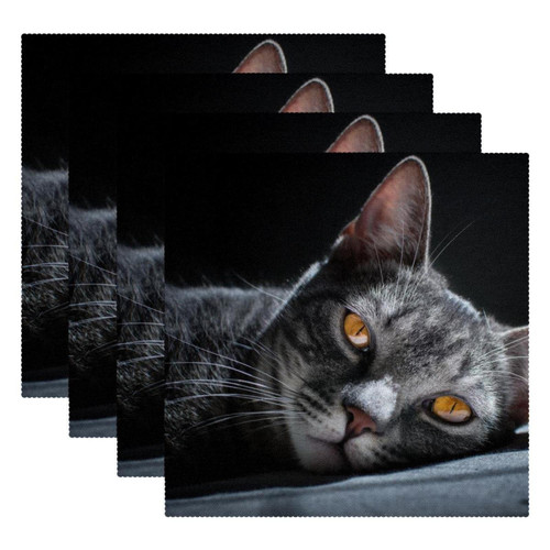 Square Placemats Set, Dining Table Placemat, Washable Place Mats, Gray Cat Square Placemats Set, Dining Table Placemat, Washable Place Mats, Gray Cat
