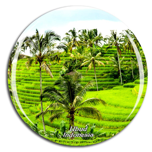 Weekino Indonesia Tegalalang Rice Terrace Ubud Bali Fridge Magnet 3D Crystal Glass Tourist City Travel Souvenir Collection Gift Strong Refrigerator Sticker