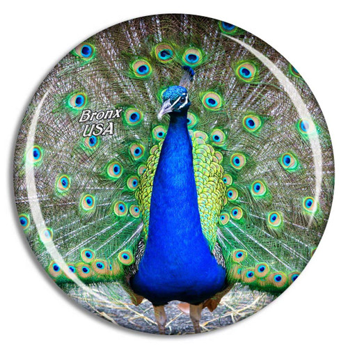 Weekino USA America Bronx Zoo Peacock Fridge Magnet Travel Souvenir City Collection 3D Crystal Glass Gift Strong Refrigerator Sticker Weekino USA America Bronx Zoo Peacock Fridge Magnet Travel Souvenir City Collection 3D Crystal Glass Gift Strong Refrigerator Sticker