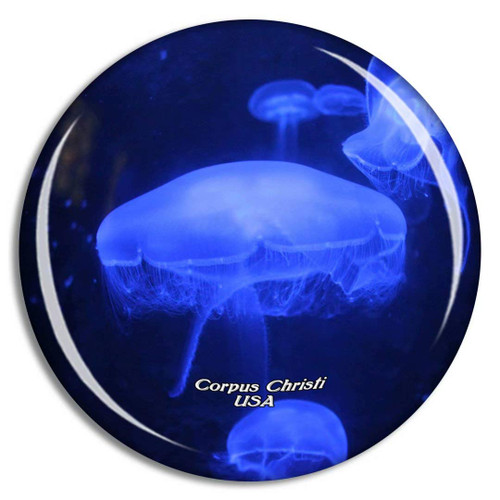 Weekino USA America Corpus Christi Texas State Aquarium Fridge Magnet Travel Souvenir City Collection 3D Crystal Glass Gift Strong Refrigerator Sticker Weekino USA America Corpus Christi Texas State Aquarium Fridge Magnet Travel Souvenir City Collection 3D Crystal Glass Gift Strong Refrigerator Sticker