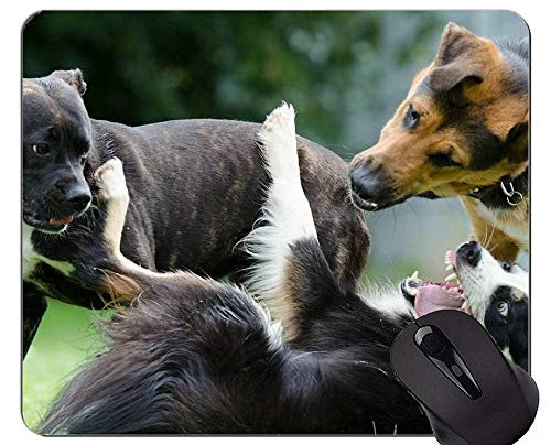 Shepherd Puppies Mouse Pad,Border Collie Office Mouse Pad
