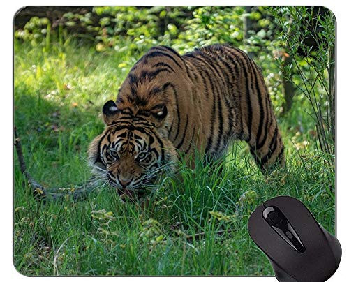 Majestic Tiger Game Office Mouse Pads Animal World Rubber Mouse Pad