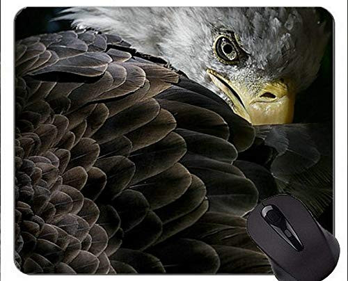 Eagles Mouse Pad Anti-Slip,Eagle Office Mouse Pad