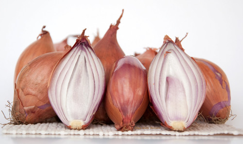 Shallots, Whole, Fresh, Organically Grown In Holland. 1Lb.