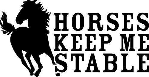 Horses Keep Me Funny Riding Equestrian Wall Decals for Walls Peel and Stick Wall Art murals Black Medium 18 Inch