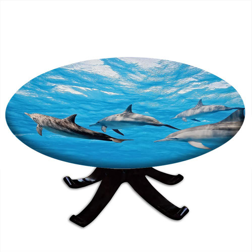 Dolphin Round Table Cloth, Underwater Photography of Dolphins Happily Swimming Ocean Animal Life Image Print, elastic edge, Table decoration cloth, buffet party and camping, for 28" table, Grey Blue