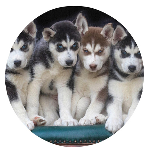 Round Rugs Lovely Husky Area Rug 24 in Flannel Bath Rug Soft Bathroom Mat Non-Slip Carpet for Living Room Decor