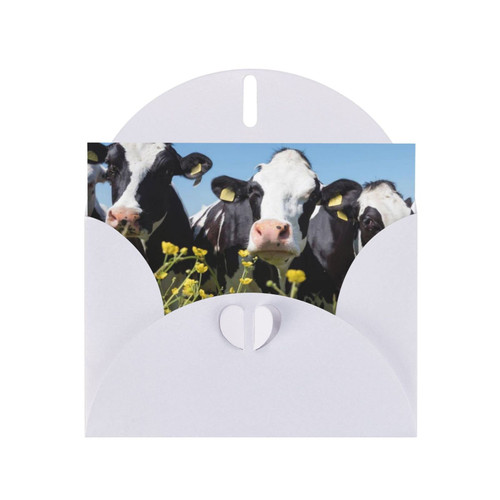 ZIMBRO Black White Cows Greeting Cards Thank You Cards, Memorial Cards, Wedding And Party Invitations.