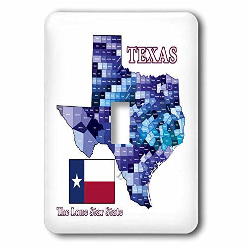 3dRose lsp_217297_1 Flag and County Map of Texas in Blues with State Name and Nickname Single Toggle Switch