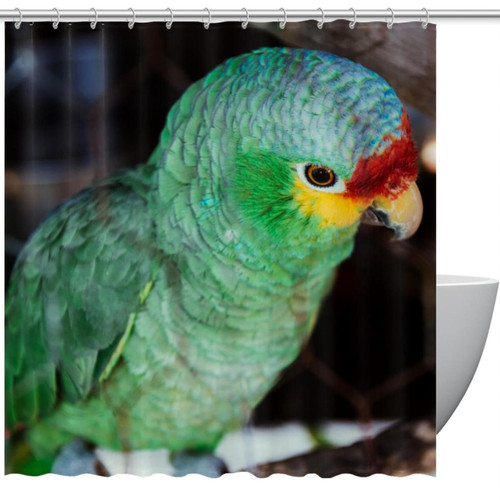 VAPOKF Shower Curtain for Bathroom Decor, Green Parrot Waterproof Polyester Fabric Bath Curtain Set with 12 Hooks - 60x72 Inches