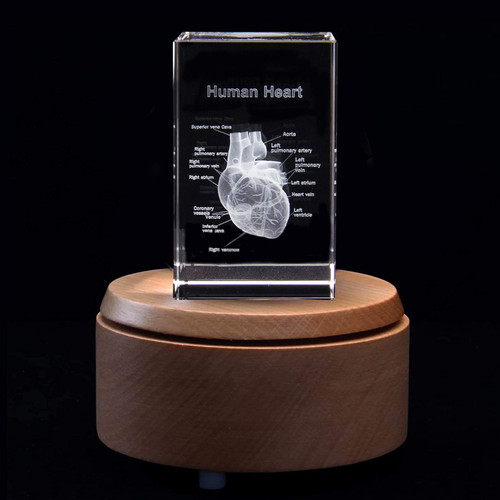 3D Human Heart with Labels Anatomical Model Paperweight(Laser Etched) in Crystal Glass Cube Science Gift (Included LED Base)