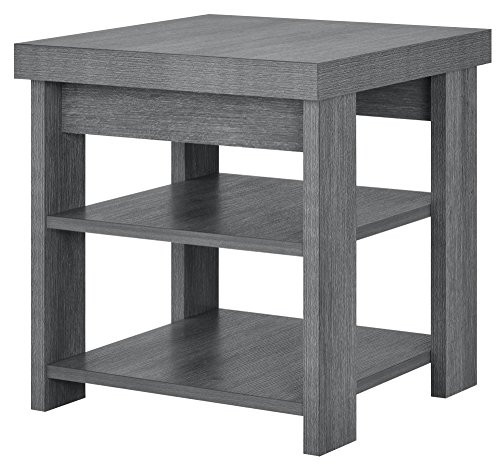 Ameriwood Home 5188096COM Jensen End Table