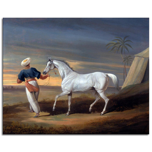SIGNAL A GREY ARAB WITH A GROOM IN DESERT Canvas Prints Poster Wall Art For Home Office Decorations Unframed 16"x12"